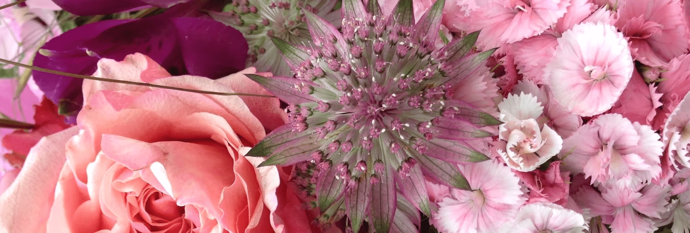 Atelier Blumenstil