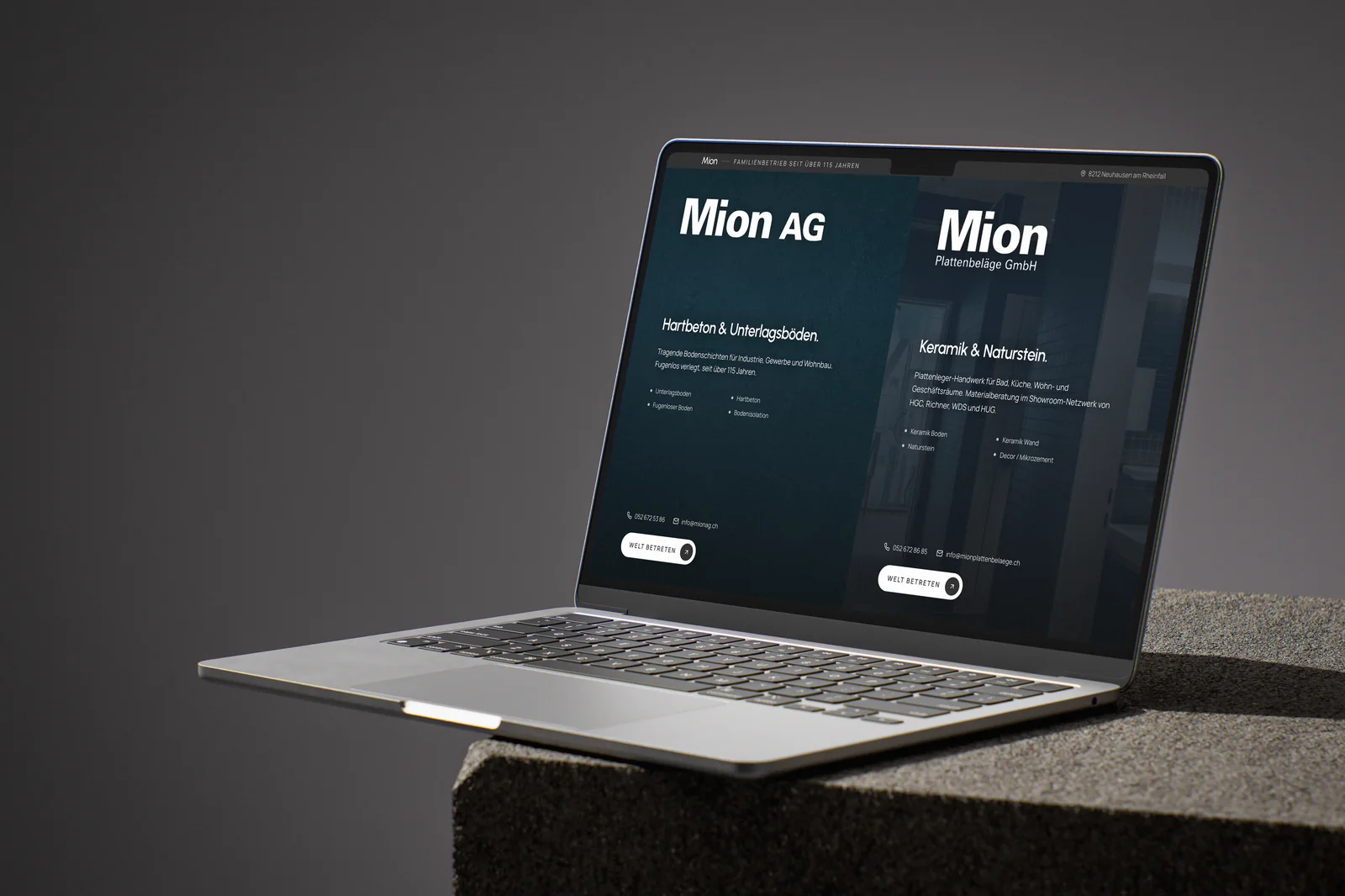Website Mion AG & Mion Plattenbeläge GmbH
